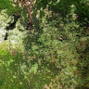 Meet your Posher, Alison